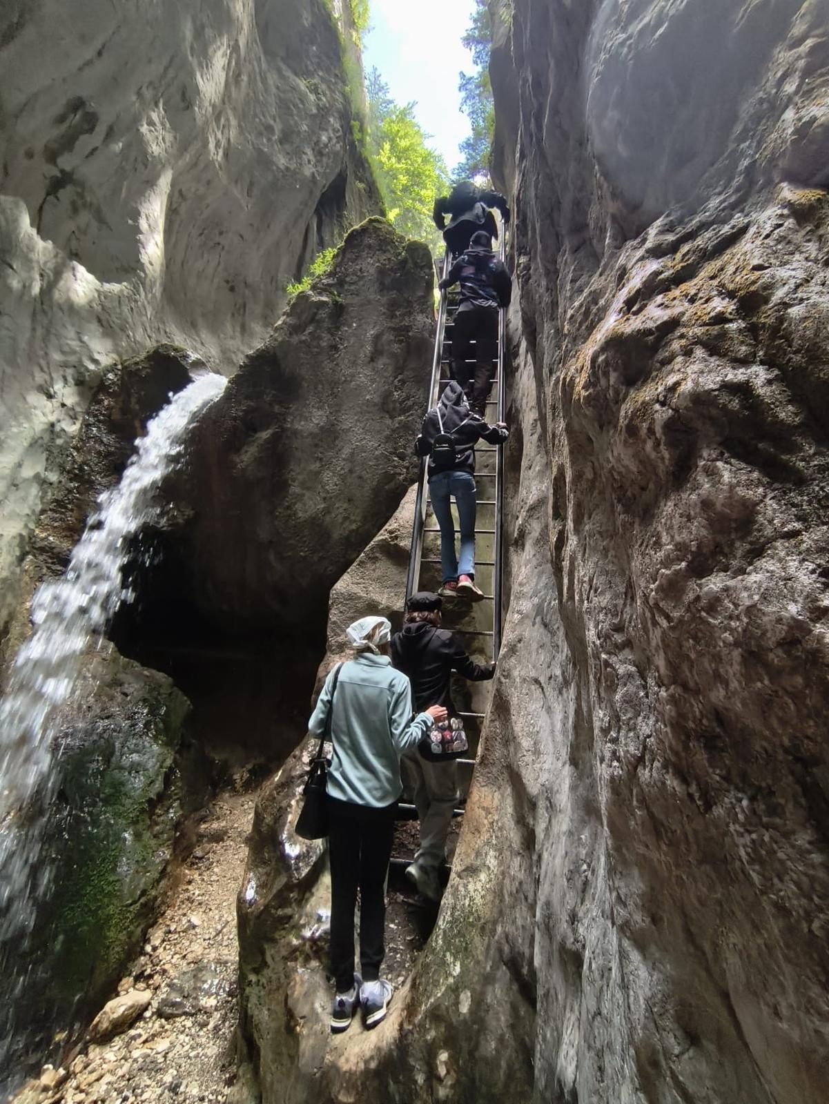 Excursie